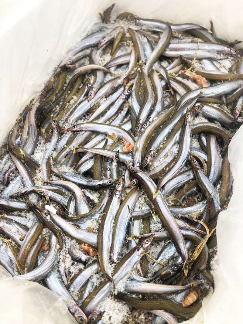 面条鱼、银针鱼、玉筋鱼招城市代理商、食堂、餐饮
