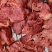 五香马肉，无浆，纯干货，口味好，价位低。