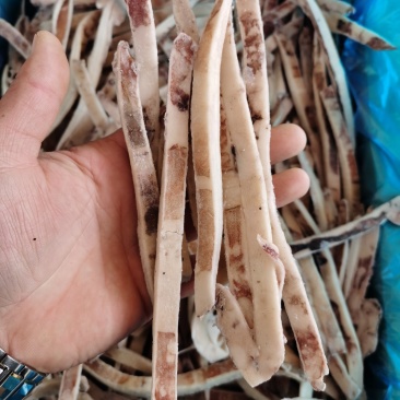 鱿鱼条，鱿鱼，鱿鱼耳条，原汁鱿鱼条，口感劲道