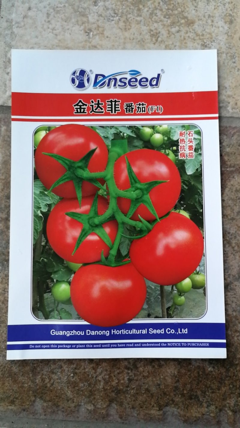 露地抗病石头番茄种子较耐热较耐裂果金达菲硬果番茄