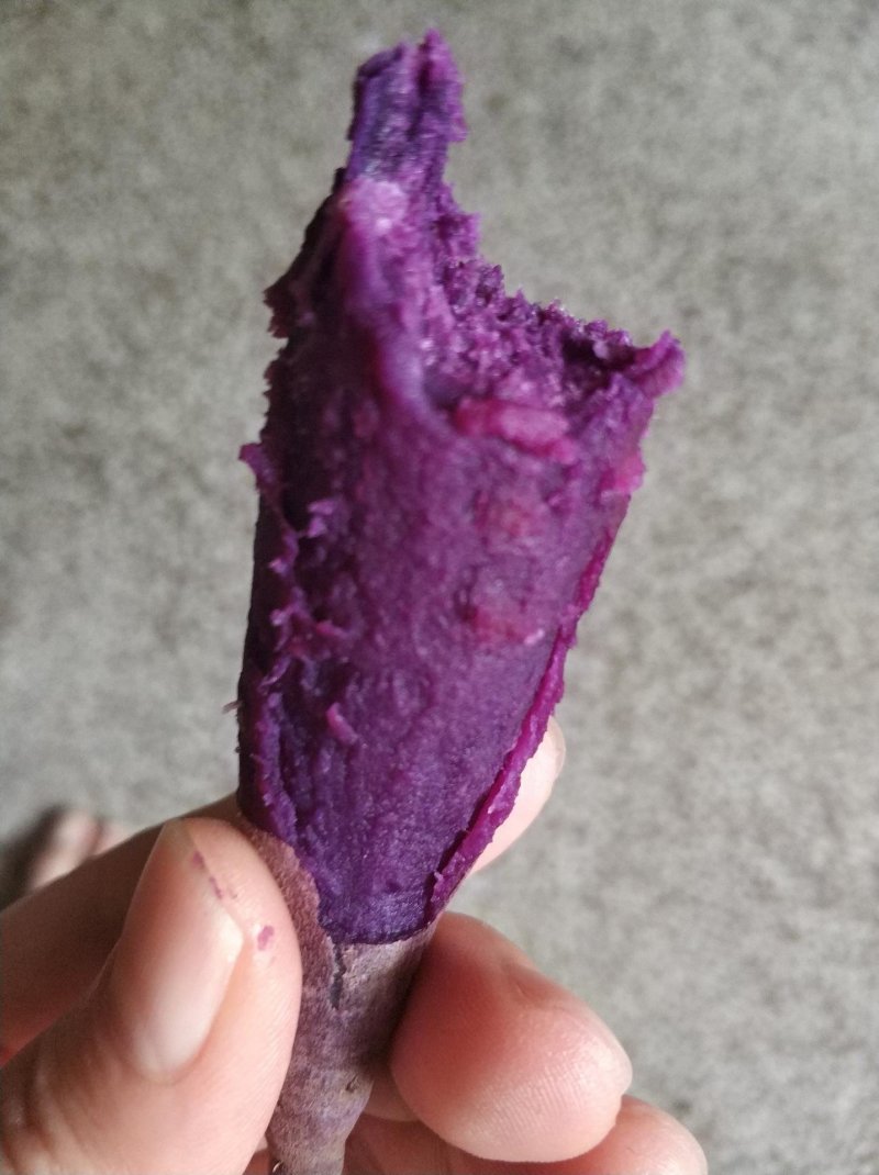 紫薯紫罗兰品种300吨现货批发山东临沂种植户
