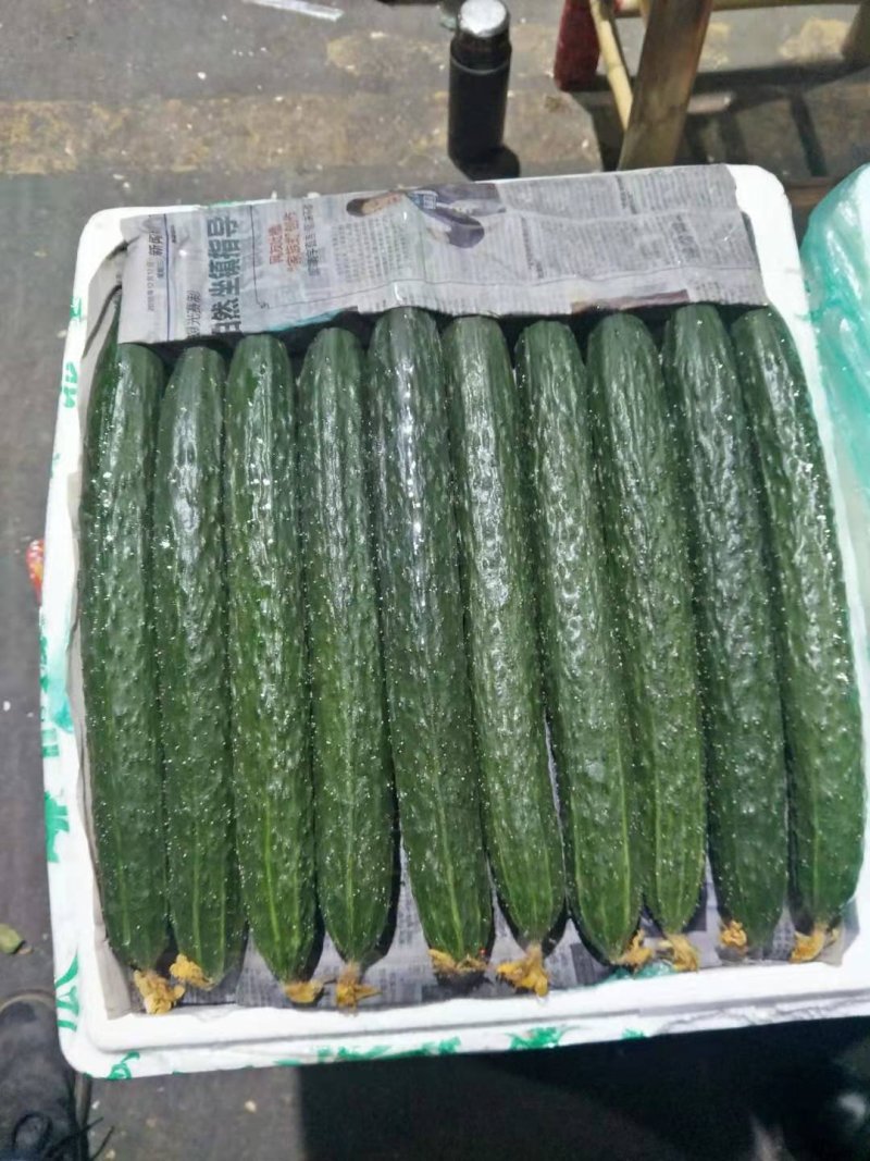 刺黄瓜，天天鲜货！各种菜品都有！