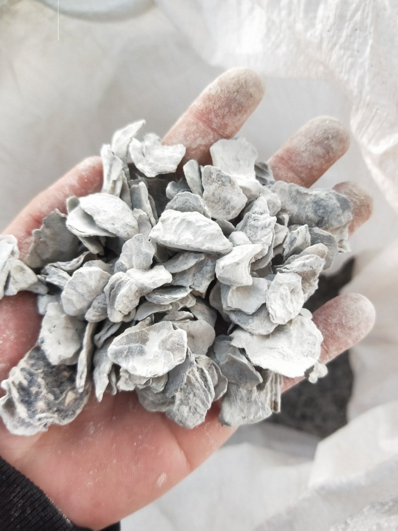 牡蛎，锻牡蛎供应上千种中药材