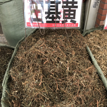 今年新货田基黄挑杂质纯无硫