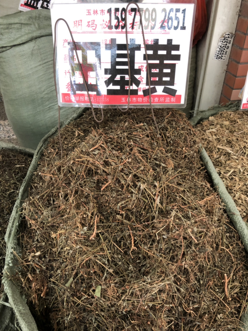 今年新货田基黄挑杂质纯无硫