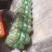 商河精品，通货，二级芸豆，大量上市。
