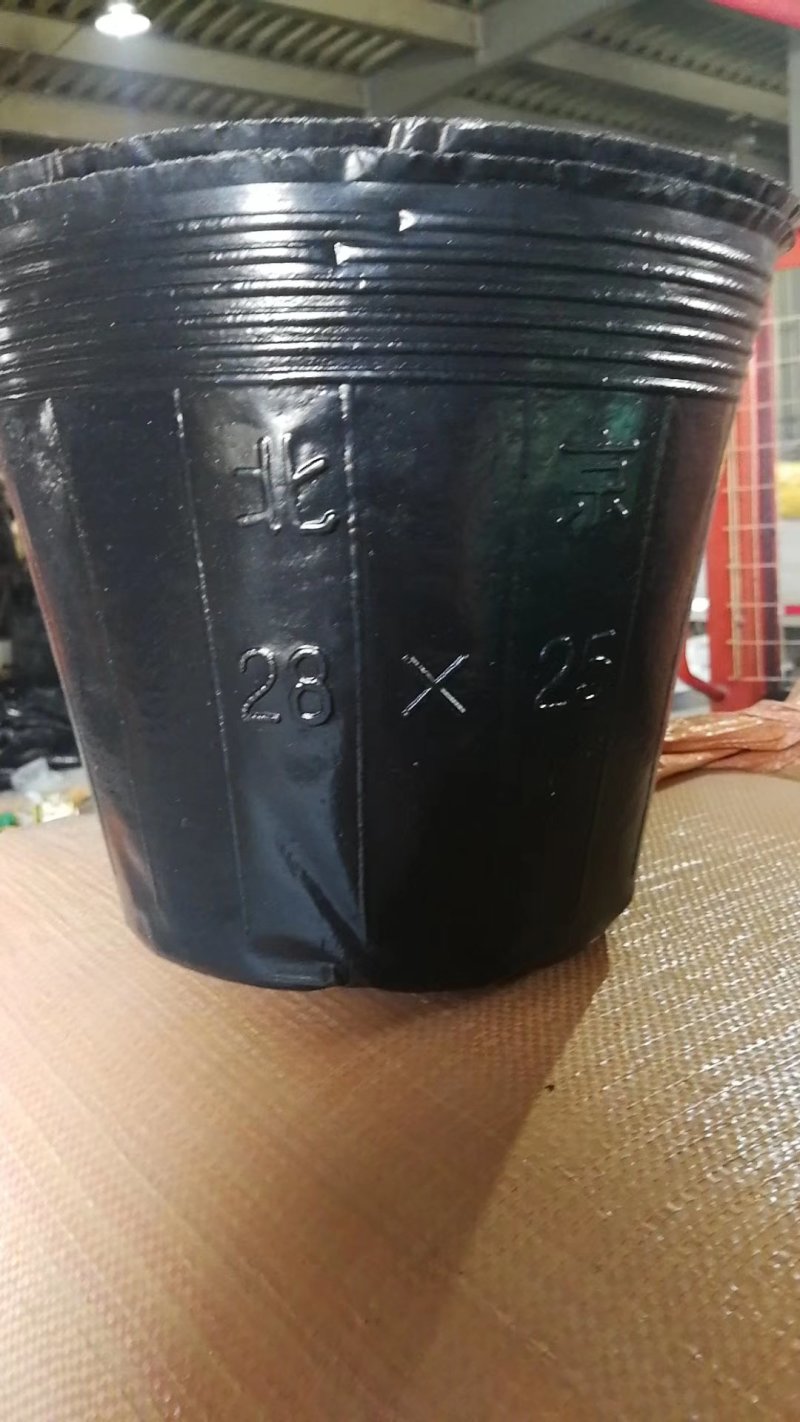 营养杯各种型号规格尺寸都有，包邮！