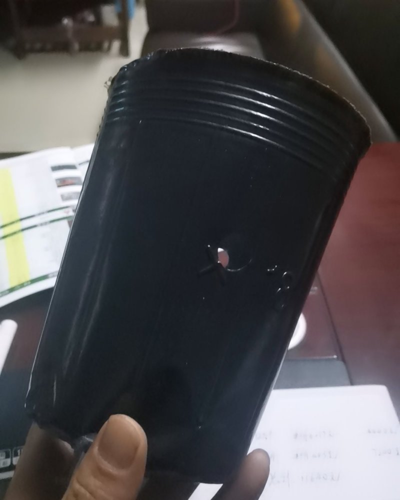 营养杯各种型号规格尺寸都有，包邮！