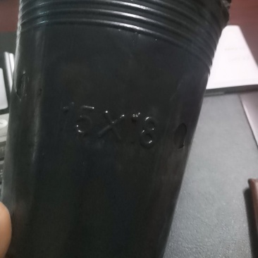 营养杯各种型号规格尺寸都有，包邮！
