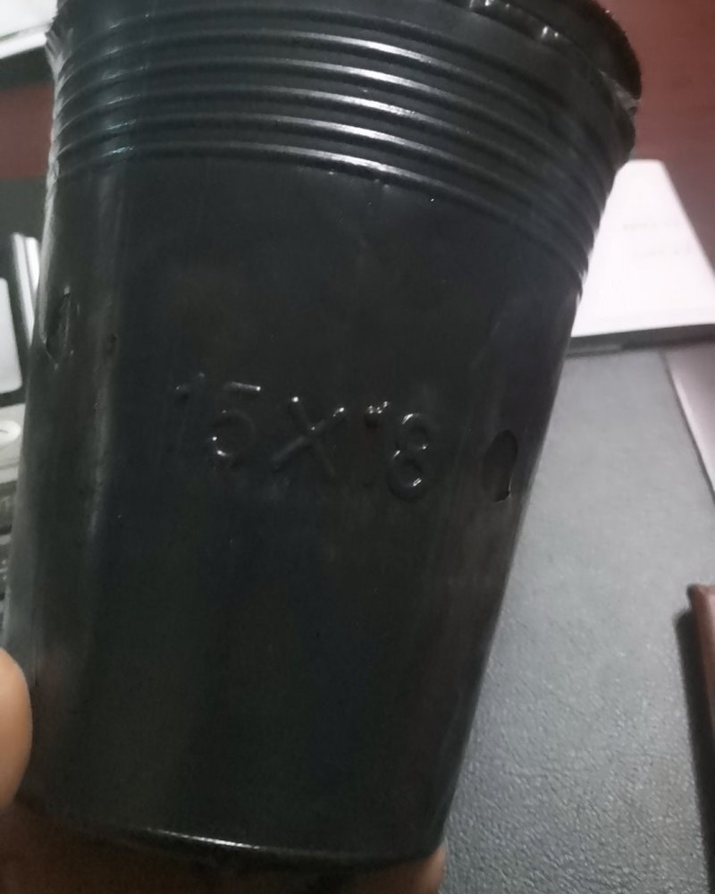 营养杯各种型号规格尺寸都有，包邮！