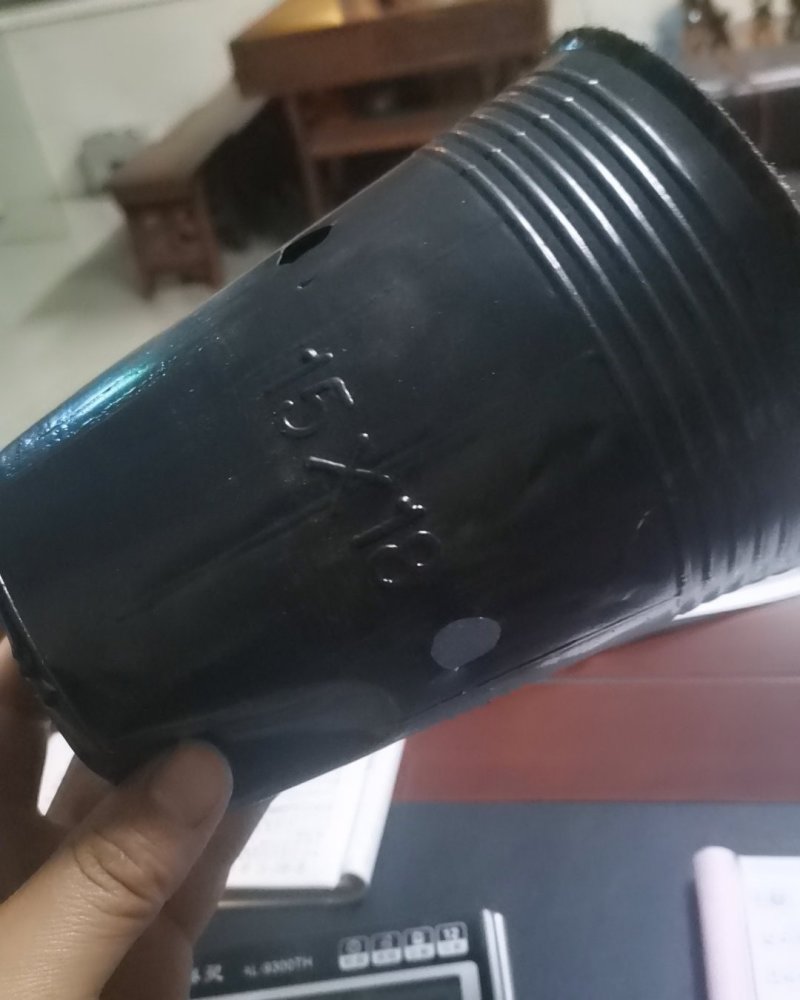 营养杯各种型号规格尺寸都有，包邮！