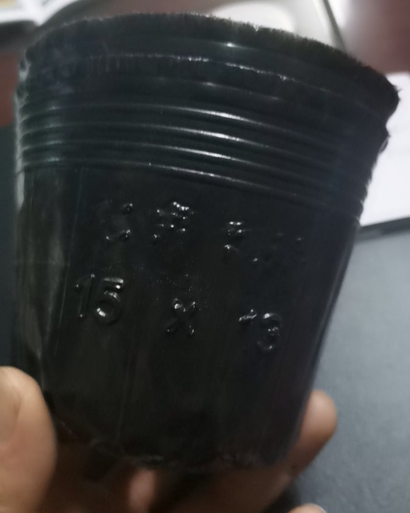 营养杯各种型号规格尺寸都有，包邮！
