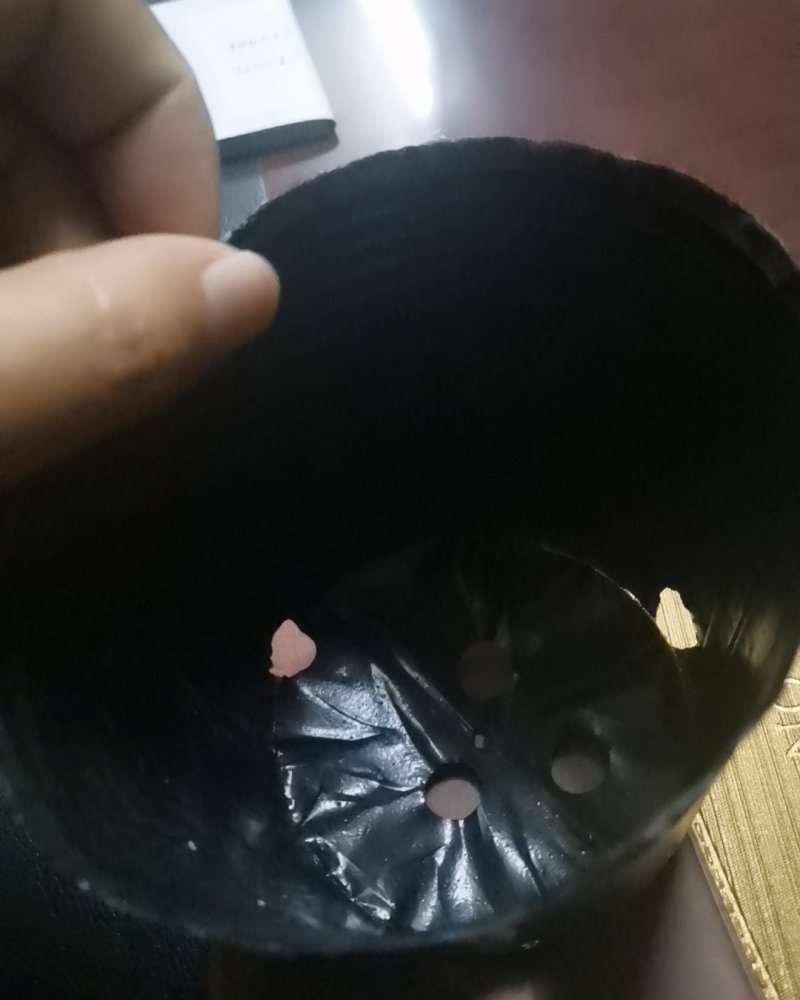 营养杯各种型号规格尺寸都有，包邮！
