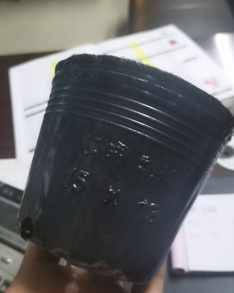 营养杯各种型号规格尺寸都有，包邮！
