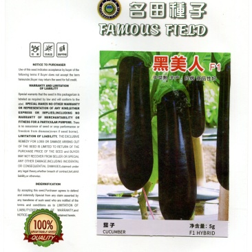 绿把棒茄子种子，品质好，产量高
