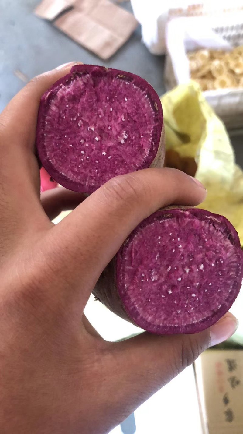 紫薯紫罗兰品种300吨现货批发山东临沂种植户