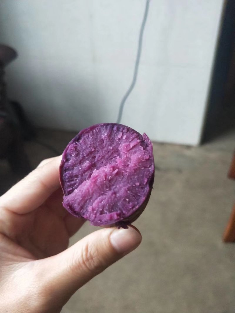 紫薯紫罗兰品种300吨现货批发山东临沂种植户