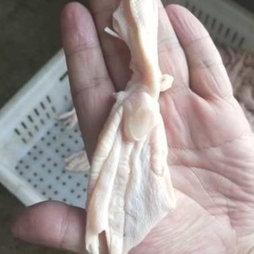精修去骨鸭掌肉质鲜美
