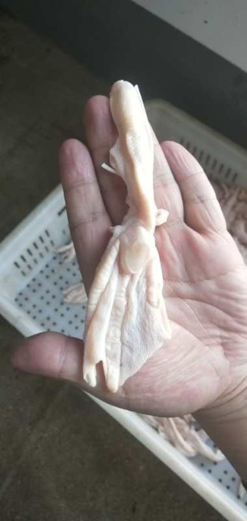 精修去骨鸭掌肉质鲜美