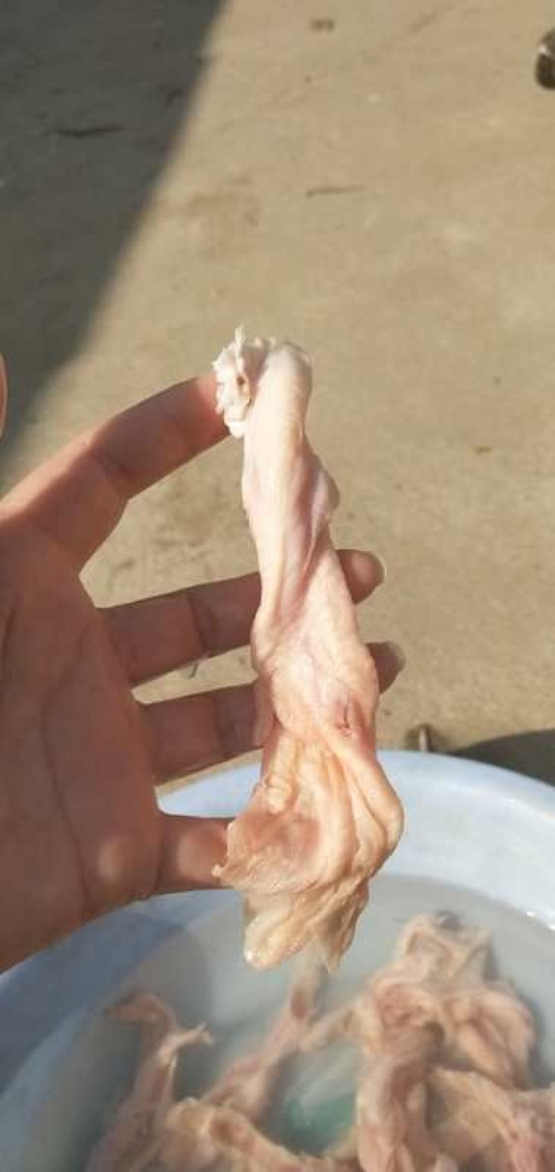 精修去骨鸭掌肉质鲜美
