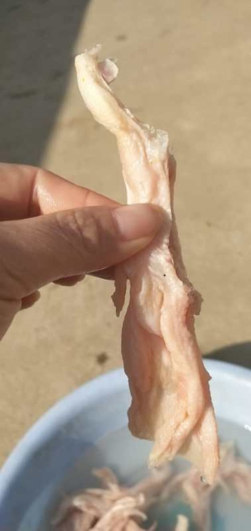 精修去骨鸭掌肉质鲜美