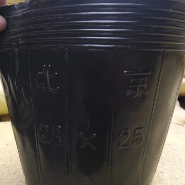 营养杯！加厚，包邮！各种型号规格尺寸都有，利达塑料制品有