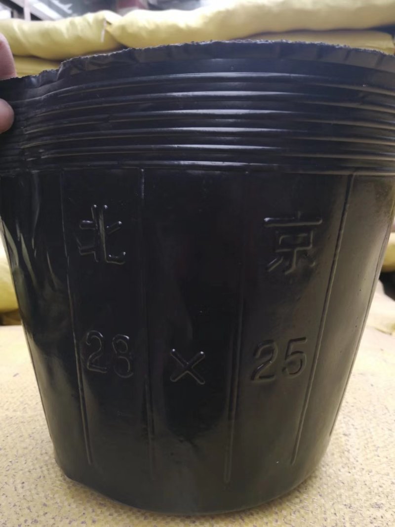 营养杯！加厚，包邮！各种型号规格尺寸都有，利达塑料制品有