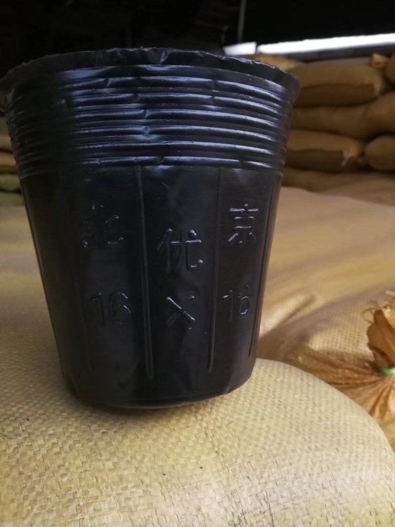 营养杯！加厚，包邮！各种型号规格尺寸都有，利达塑料制品有