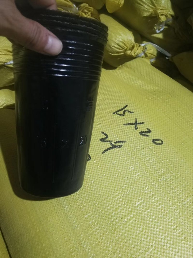 营养杯！加厚，包邮！各种型号规格尺寸都有，利达塑料制品有