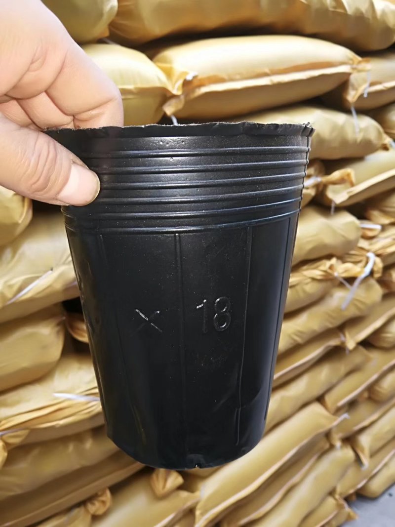 营养杯！加厚，包邮！各种型号规格尺寸都有，利达塑料制品有