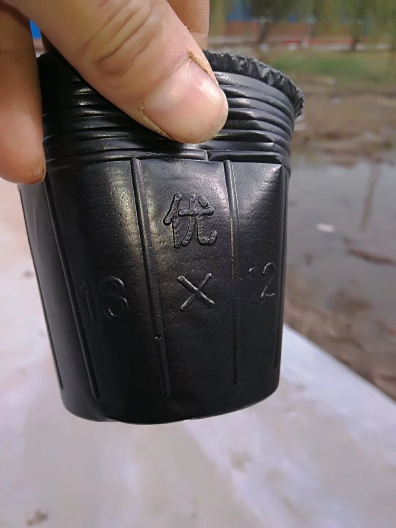 营养杯！加厚，包邮！各种型号规格尺寸都有，利达塑料制品有