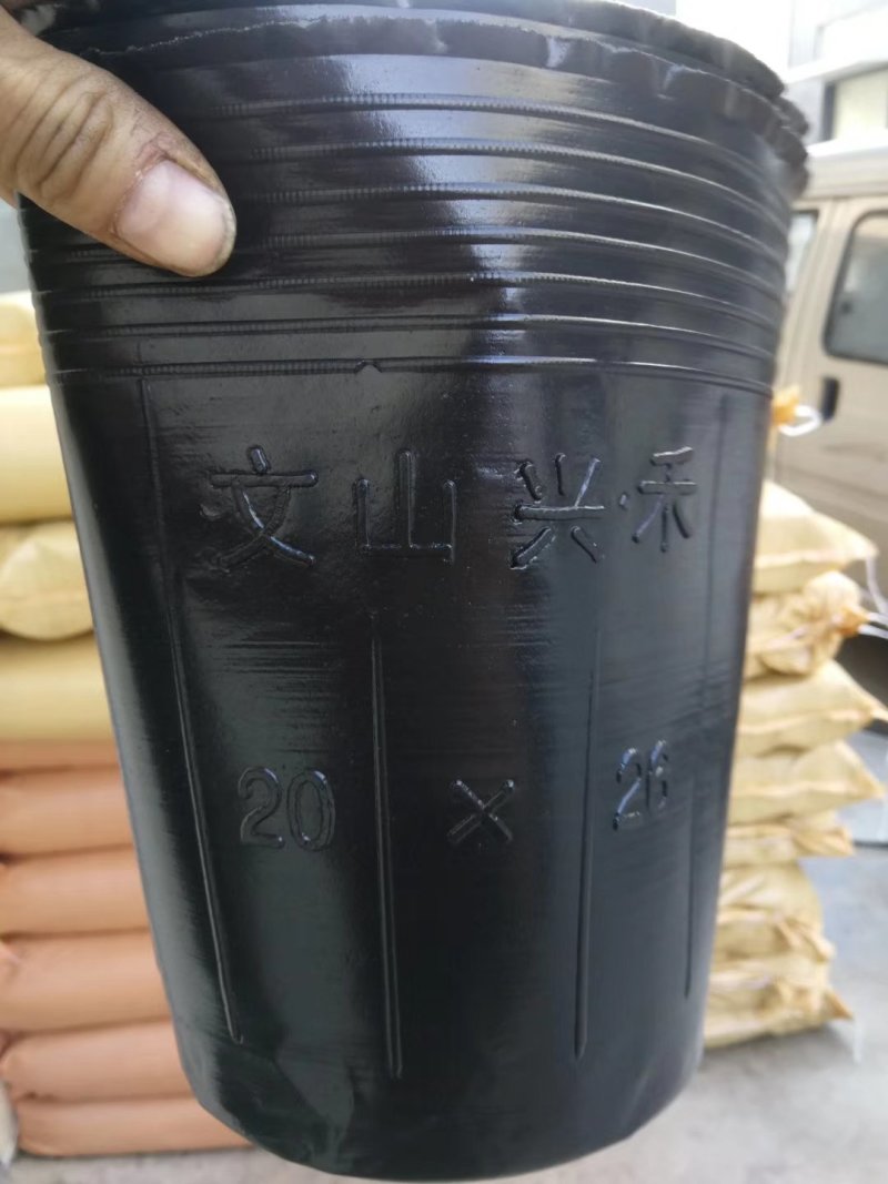 营养杯！加厚，包邮！各种型号规格尺寸都有，利达塑料制品有