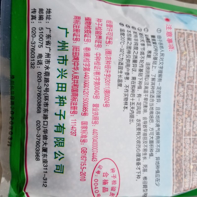 500克，苗用与萝卜兼用，母种短叶13早萝卜种子！