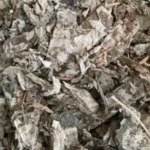 紫珠叶【包邮】三斤起发货可批量可零售量大从优