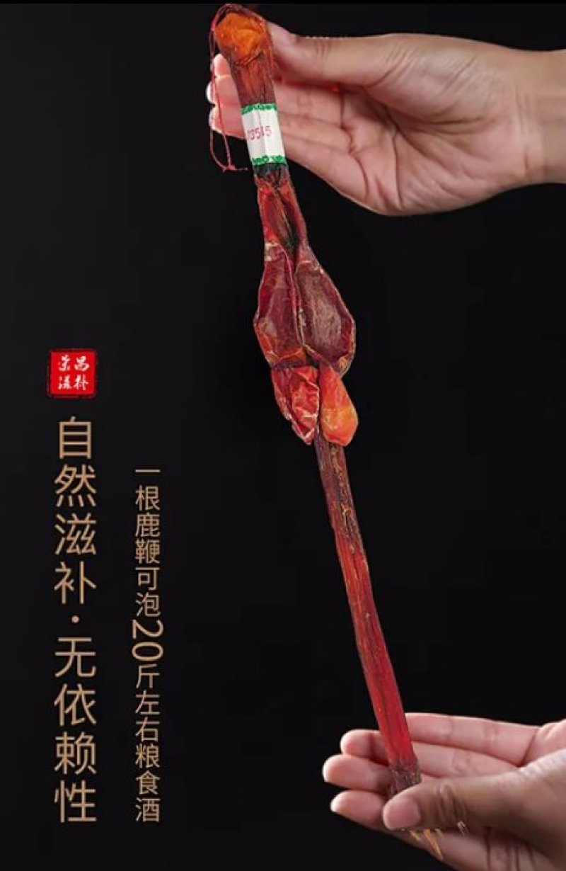 男性黄金泡酒料整根鹿鞭，鹿茸片，灵芝，人参等十几味配成