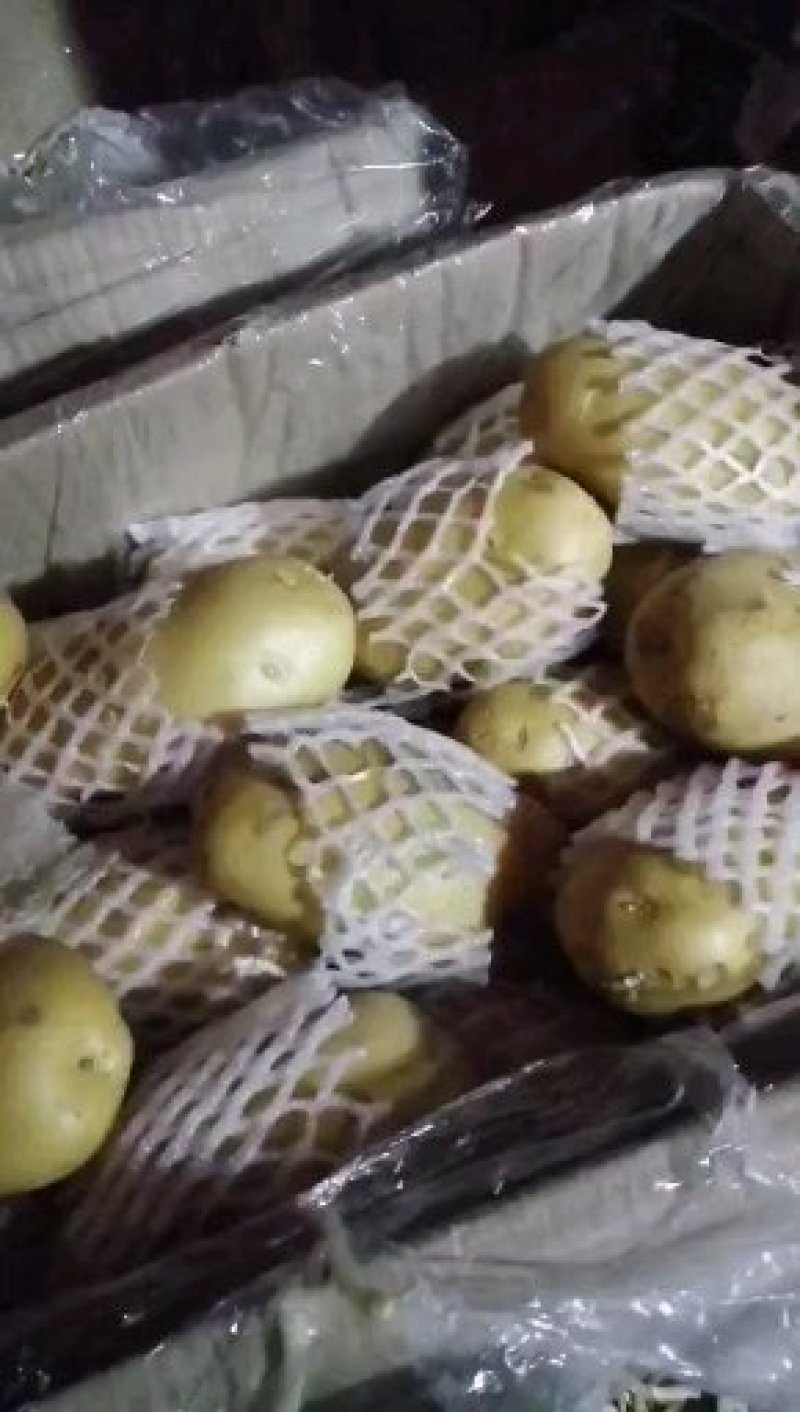 土豆，土豆种籽，商品土豆