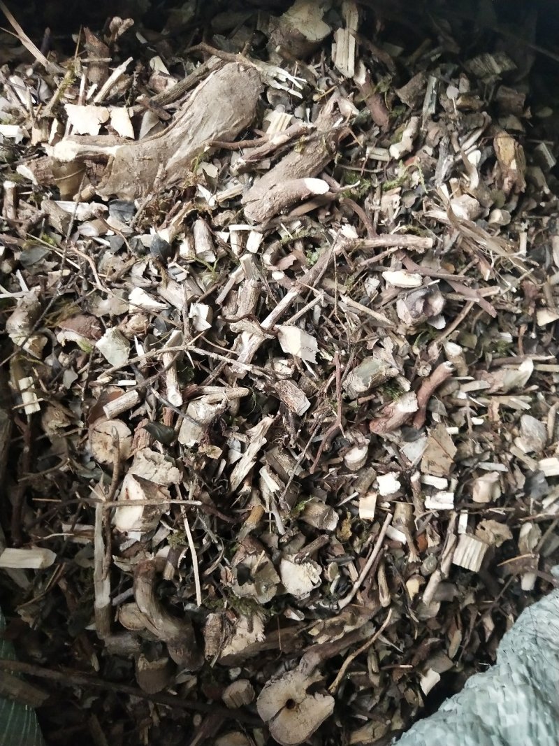 绣花针虎刺伏牛花鸟不宿寿星草云南特产中药材包邮量