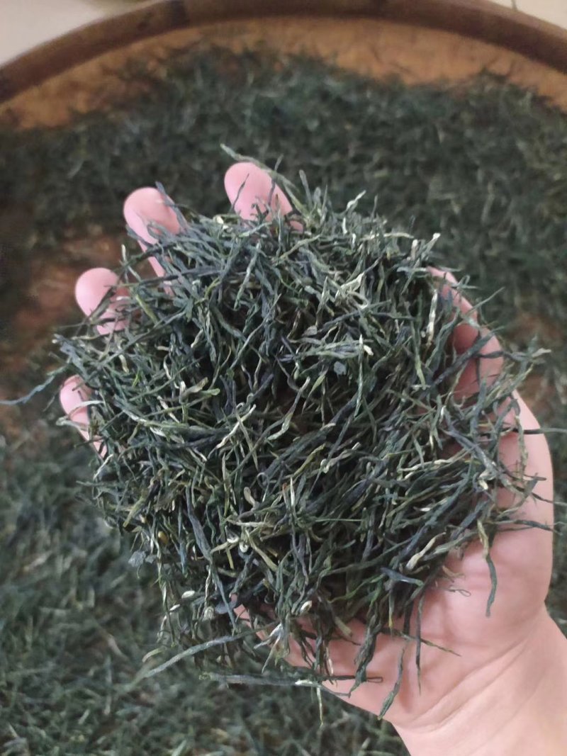 茶高山云雾绿茶昭平绿茶按需包装保质保量