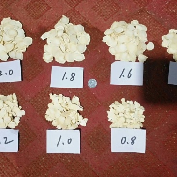 西洋参花旗参片软质片规格齐全长白山产地直发包
