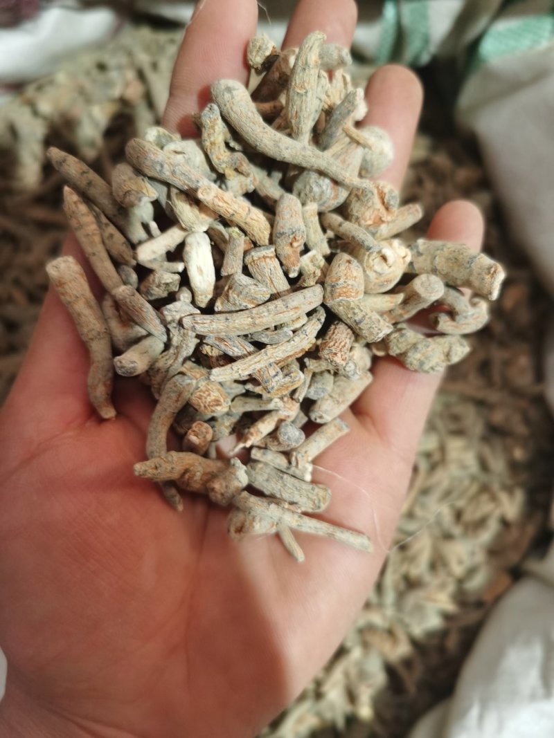 振兴药材批发供应三七根规格齐全保质保量常年供应诚