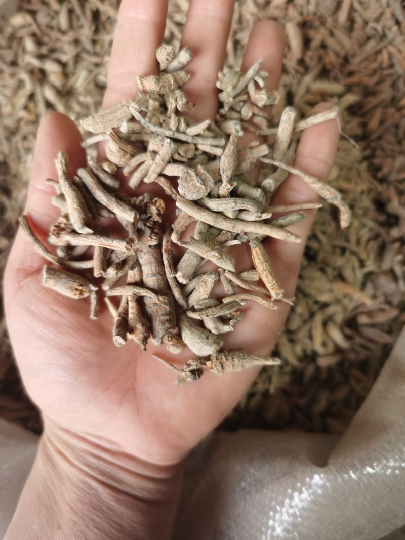 振兴药材批发供应三七根规格齐全保质保量常年供应诚