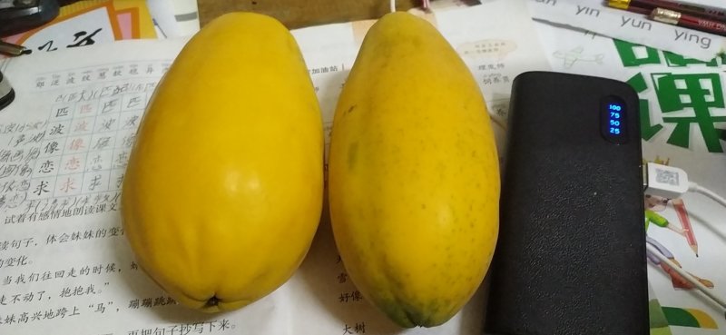 健康食品，女性吃了美容，丰满，孕妇吃有奶汁，靓木瓜。