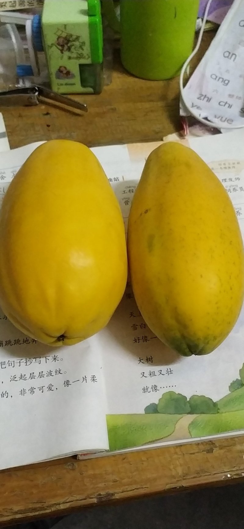 健康食品，女性吃了美容，丰满，孕妇吃有奶汁，靓木瓜。