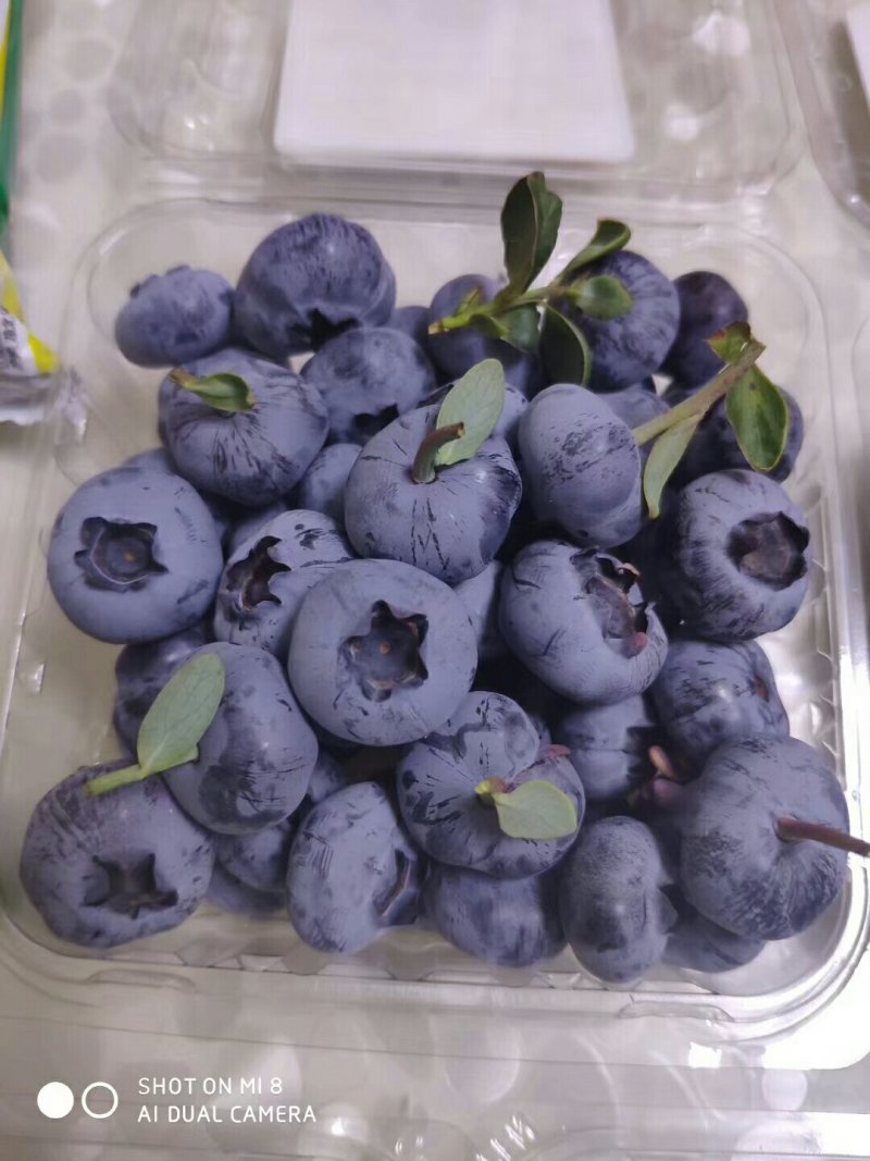 蓝莓