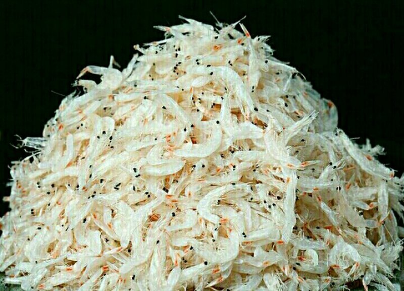 虾皮孕妇老人孩童补钙虾皮