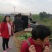 空心菜带老杆空心菜苗翁菜种苗