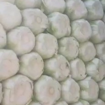 白菜