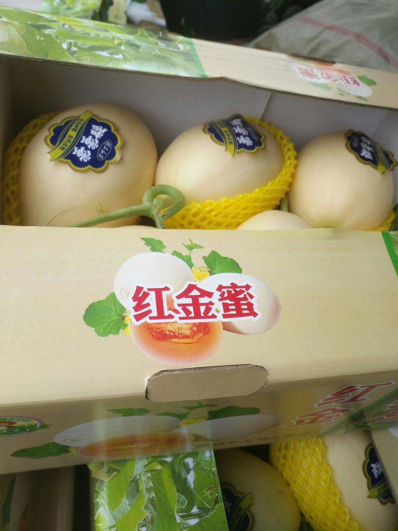 瓜果类