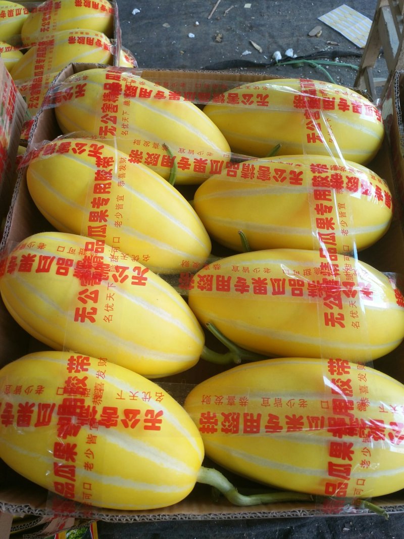 瓜果类