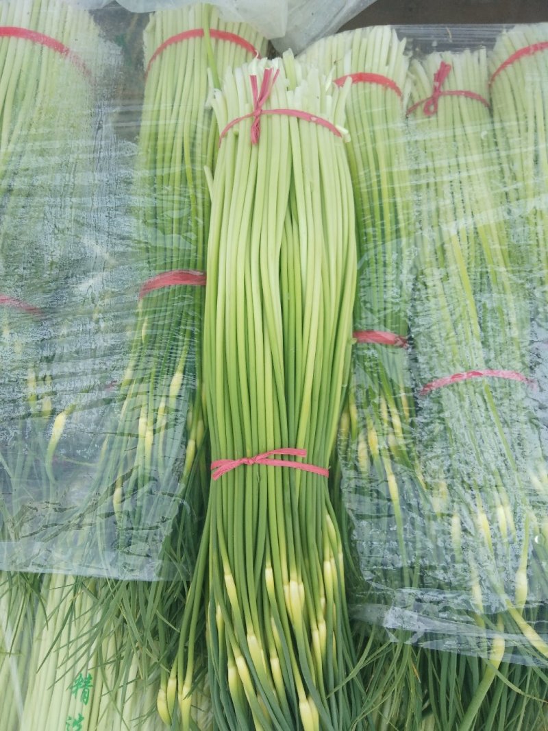 蒜薹，本地长年供应各种蔬菜